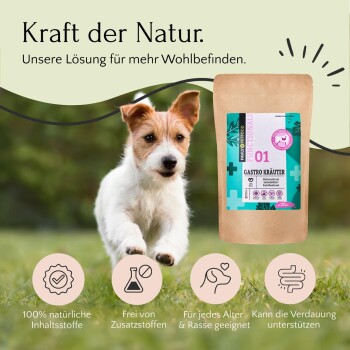 FAVLY Petfood GASTRO Kräuter 3x150 g