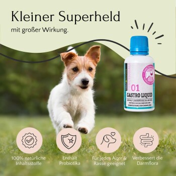 FAVLY Petfood GASTRO Liquid 3x30 g