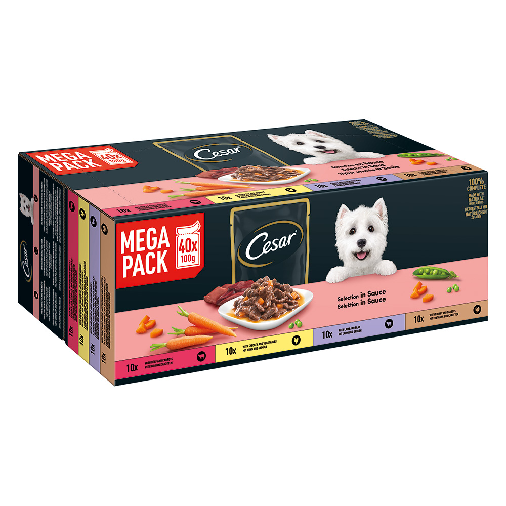 Cesar Mega Pack Portionsbeutel Selektion in Sauce 4 Varietäten 40x100g