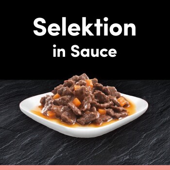Cesar Mega Pack Portionsbeutel Selektion in Sauce 4 Varietäten 40x100g