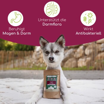 Wolfsbacher Natur Magen & Darm Pulver