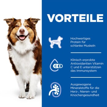 Hill's Science Plan Nassfutter Hund Adult Rind 12x370 g