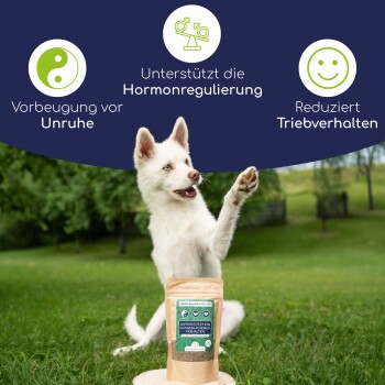 Wolfsbacher Natur Triebregulat Pulver