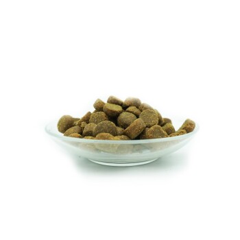 Bellfor Futterset für körperlich aktive Hunde - Premium PUR Aktiv + Fitness Pulver + Soft-Snacks 2,980 g