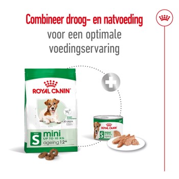 ROYAL CANIN Mini Ageing Mousse 12x195 g