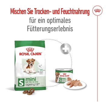 ROYAL CANIN Mini Ageing Mousse 12x195 g
