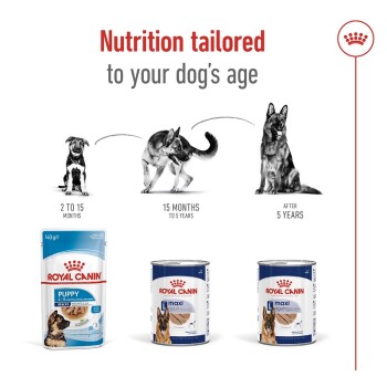 ROYAL CANIN Maxi Adult Mousse 12x410 g