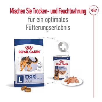 ROYAL CANIN Maxi Adult Mousse 12x410 g