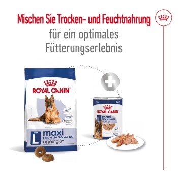 ROYAL CANIN Maxi Ageing Mousse 12x410 g