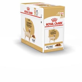 ROYAL CANIN Labrador Retriever Adult 20x140 g