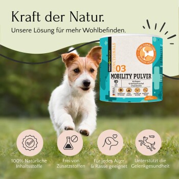 FAVLY Petfood MOBILITY Pulver 250 g