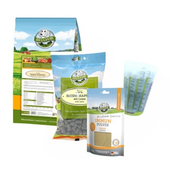 Bellfor Kleiner Münsterländer Futter Set
