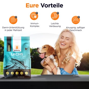 German Shephy Balloony Hundefutter Lachs
