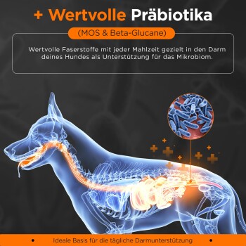 German Shephy Balloony Hundefutter Lachs