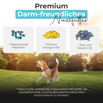 German Shephy Balloony Nassfutter Lachs