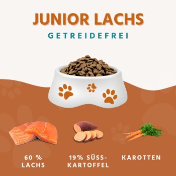 Wildfang ® Junior Trockenfutter mit Lachs 2 kg