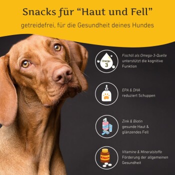 Wildfang ® Haut und Fell Snacks - getreidefrei - 70 g