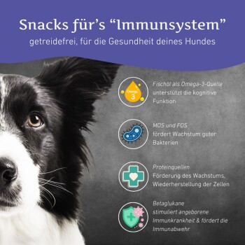 Wildfang Immunsystem Snacks - getreidefrei - 70 g