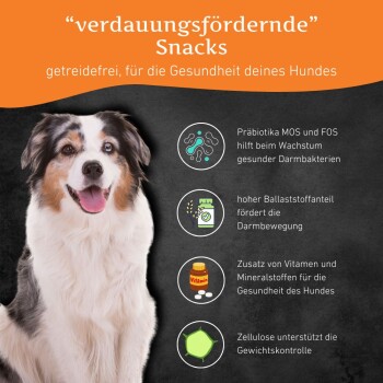 Wildfang ® Verdauungsfördernde Snacks - getreidefrei - 3 x 70 g