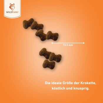 Wildfang ® Verdauungsfördernde Snacks - getreidefrei - 3 x 70 g