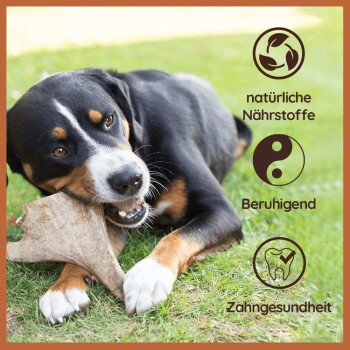 Wildfang ® Damhirsch Kaugeweih S