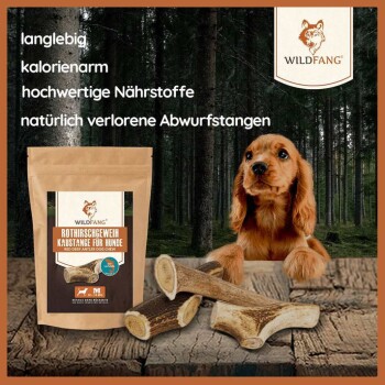 Wildfang Rothirsch mit Lachsöl Kaugeweih - 3 x S