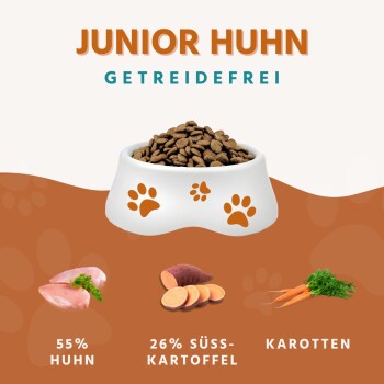 Wildfang ® Junior Trockenfutter mit Huhn 2 x 6 kg