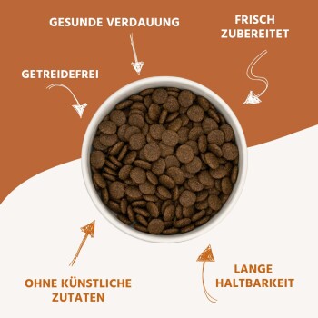 Wildfang ® Junior Trockenfutter mit Huhn 2 x 6 kg
