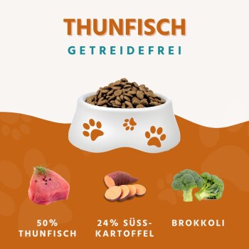 Wildfang ® Adult Trockenfutter mit Thunfisch 6 kg