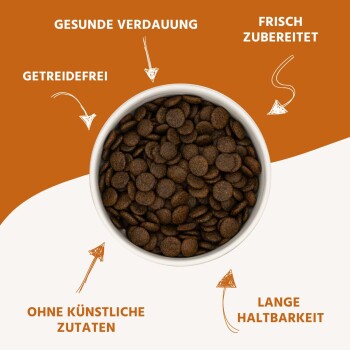 Wildfang ® Adult Trockenfutter mit Thunfisch 6 kg