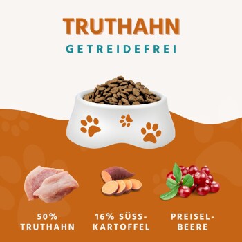 Wildfang ® Senior Trockenfutter mit Truthahn 6 kg