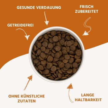 Wildfang ® Senior Trockenfutter mit Truthahn 6 kg