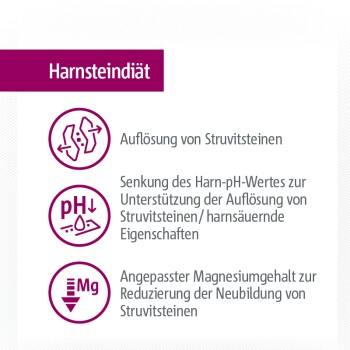 SELECT GOLD Medica Nassfutter Hund Adult Harnsteindiät, mit Huhn & Rind 40x150 g