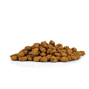 REAVET Trockenfutter Weiderind mit Kartoffeln & Hagebutte 12kg