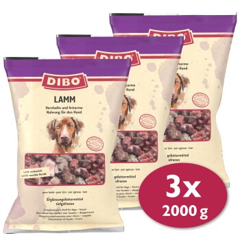 DIBO Frostfutter Lamm 3x2 kg
