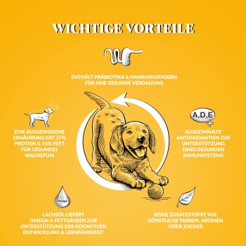 Dr John Welpen Trockenfutter Reich an Huhn 2x10 kg