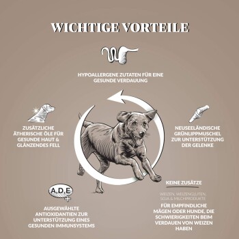 Dr John Getreidefreies Huhn & Kartoffeln 2x12,5 kg