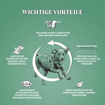 Dr John Hyppo Huhn mit Hafer 2x4 kg