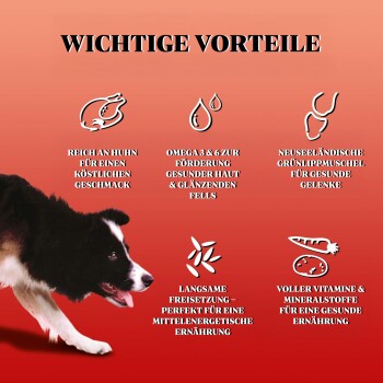 GILPA Kennel 15 kg