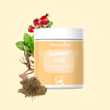 Pfotenkraut Leber Kräuter SUNNY LIVI 200g