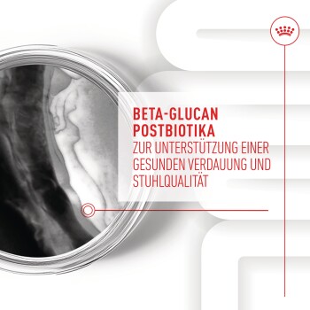 ROYAL CANIN Supplements Puppy, Immunity & Digestion