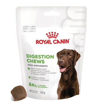 ROYAL CANIN Supplements Adult, Digestion
