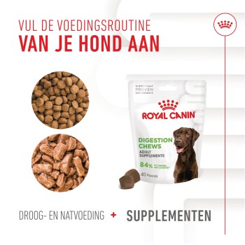 ROYAL CANIN Supplements Adult, Digestion
