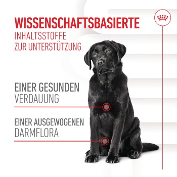 ROYAL CANIN Supplements Adult, Digestion