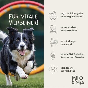 Milo & Mia Daily Bites - Knochen & Gelenke 900 g