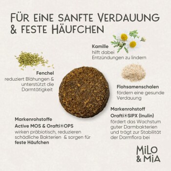 Milo & Mia Daily Bites - Magen & Darm Snack 900 g