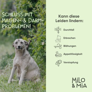 Milo & Mia Daily Bites - Magen & Darm Snack 900 g