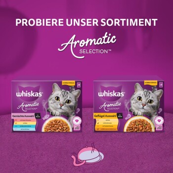 Whiskas Nassfutter Katze Adult, Multipack, 1+ Geflügel Auswahl, in Sauce 12x85 g