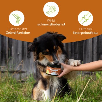 Wolfsbacher Natur Gelenke & Knochen Leckerli 4x