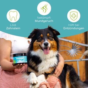 Wolfsbacher Natur Zahnpflege Leckerli 4x